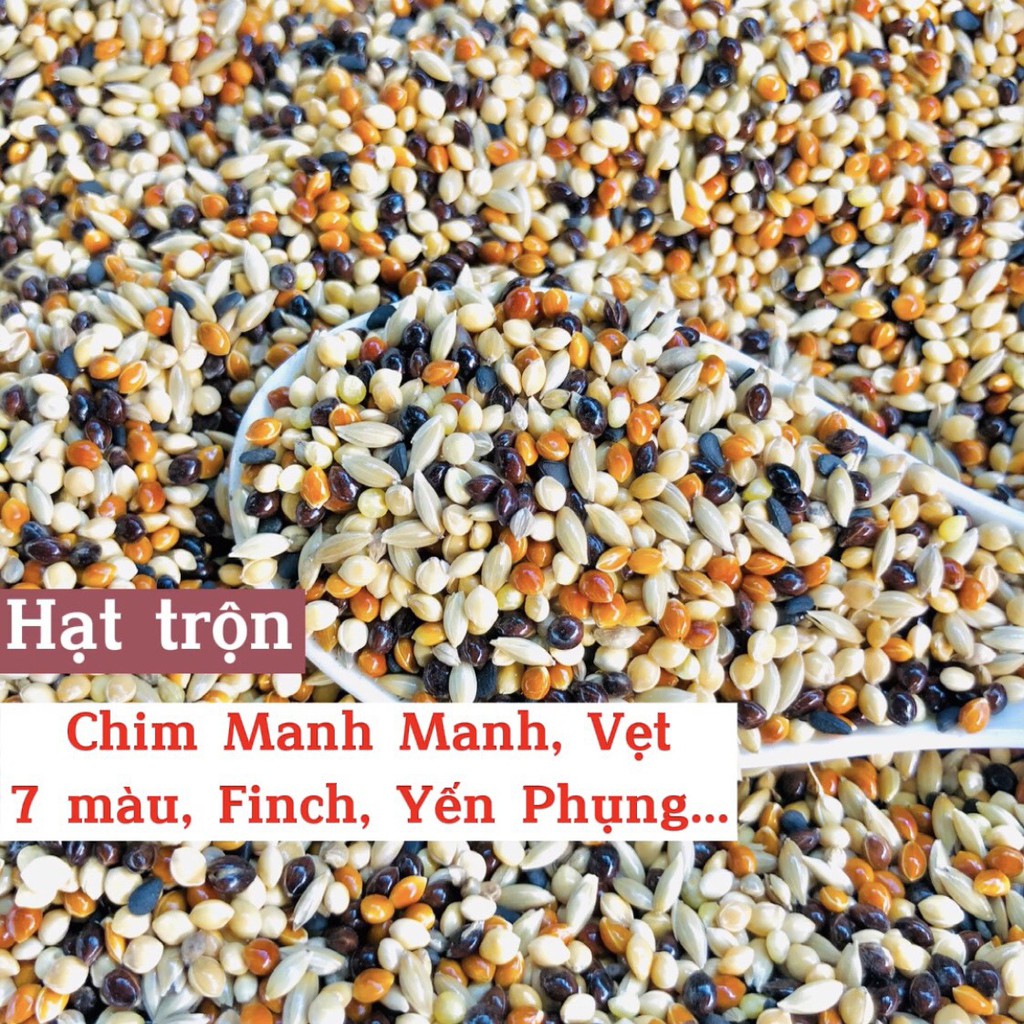 Hạt trộn dành cho chim Vẹt, Yến Phụng, Finch, 7 Màu, Manh Manh và các dòng chim sẻ