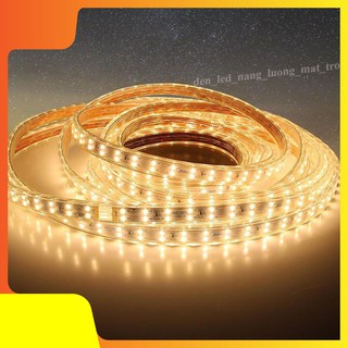 Đèn Led Dây Trang Trí - Dây Đôi Siêu Sáng 2835 ĐÈN LED ALIBABA