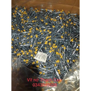 TÚI 100 CON VÍT NỞ XÒE THẠCH CAO DÀI 45mm và 60mm