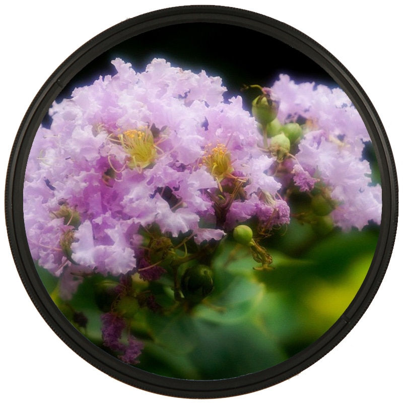 Bộ lọc ống kính Zomei 52 / 55 / 58 / 62 / 67 / 72 / 77 / 82mm cho máy ảnh Dslr