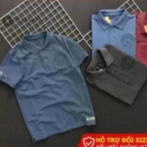 Áo thun nam đẹp có cổ Riooshop logo nổi cao cấp RXP026
