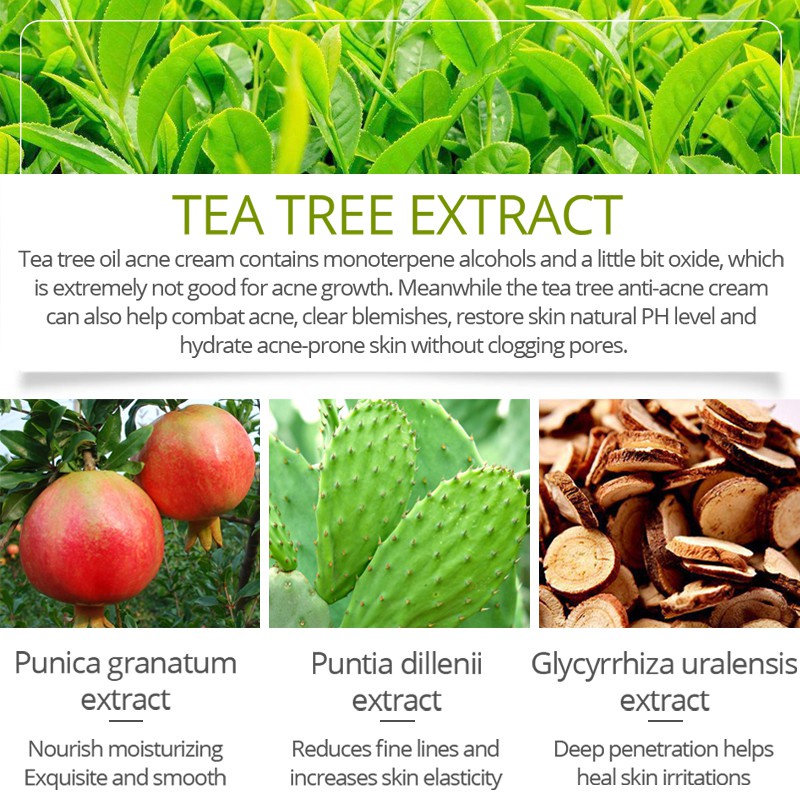 Toner VIBRANT GLAMOUR Chiết Xuất Tràm Trà Hỗ Trợ Giảm Mụn Và Sẹo Cho Da Mặt 30ml