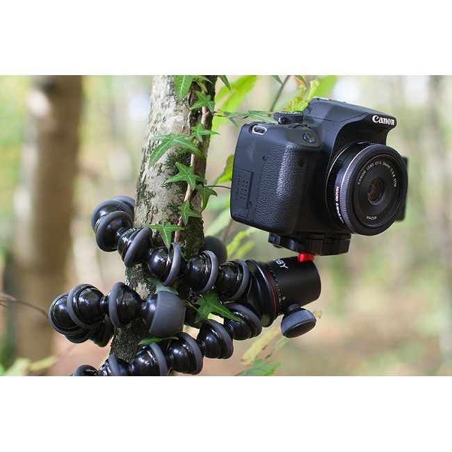 Chân máy Joby Gorillapod 5k kèm đầu bi Ballhead Joby X