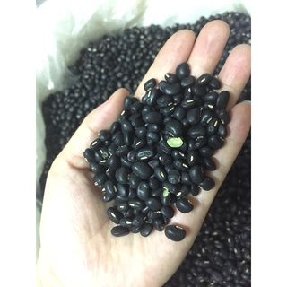 Trà đậu đen xanh lòng rang - nấu nước uống giải nhiệt
