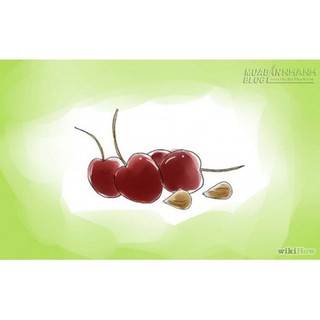 HẠT GIỐNG CHERRY CÁC LOẠI - 1 GÓI