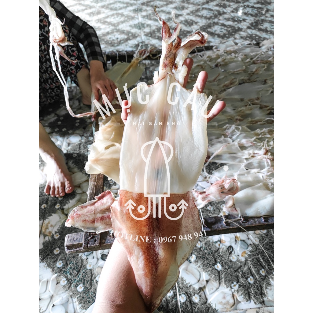 🦑ĐỒ ĂN VẶT🦑 1 con MỰC ỐNG Mực khô sấy khô size to - Đảm bảo ngọt, dày cơm
