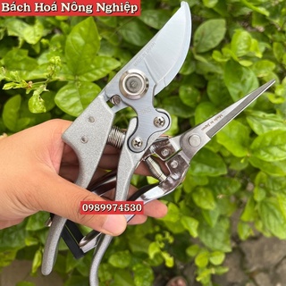 Set kéo cắt cành cây cảnh nhật bản + kéo tỉa dăm