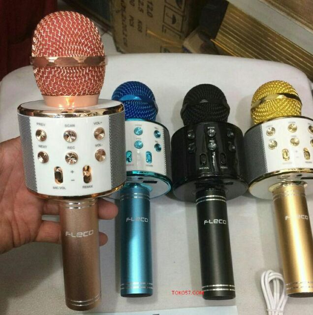 Mic karaoke WS858