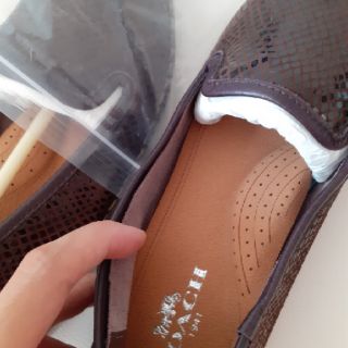 Giày Coach xuất xịn