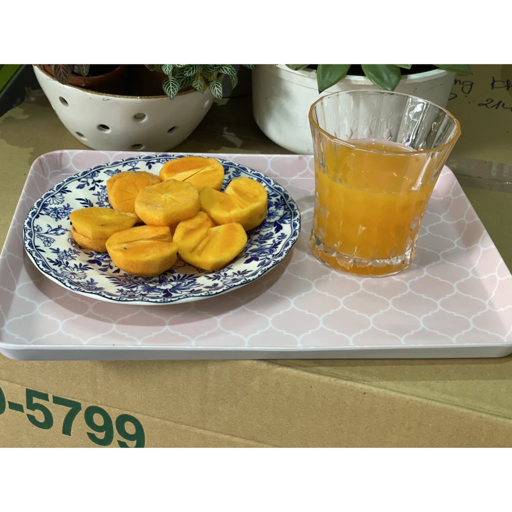 Khay nhựa đựng đồ ăn vặt, ăn sáng, snack, bánh, trái cây 20*30cm