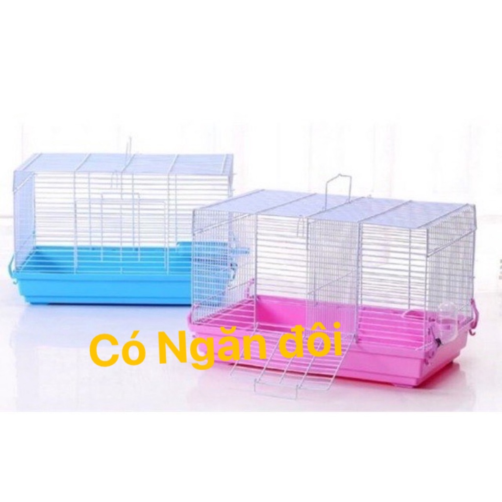 Vách ngăn đôi và lưới đáy của  .