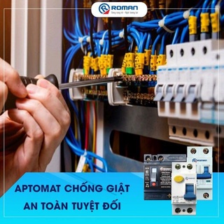 Aptomat mcb chống giật 2p roman dòng dò 30ma 20a/32a/40a/50a/63a - hàng chính hãng