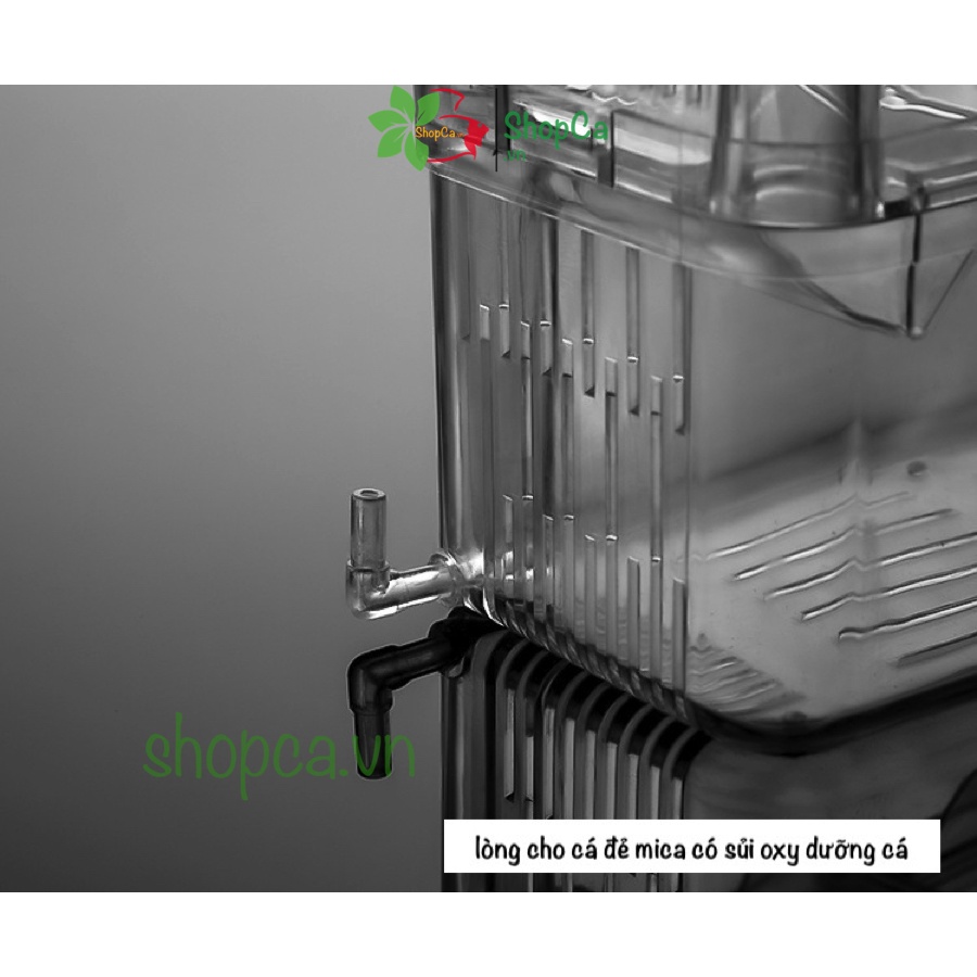 Lồng đẻ cho cá, tép bằng mika, box tách cá đẻ, có vòi sủi oxy dưỡng cá kích thước 10.2*8.2*13.3CM