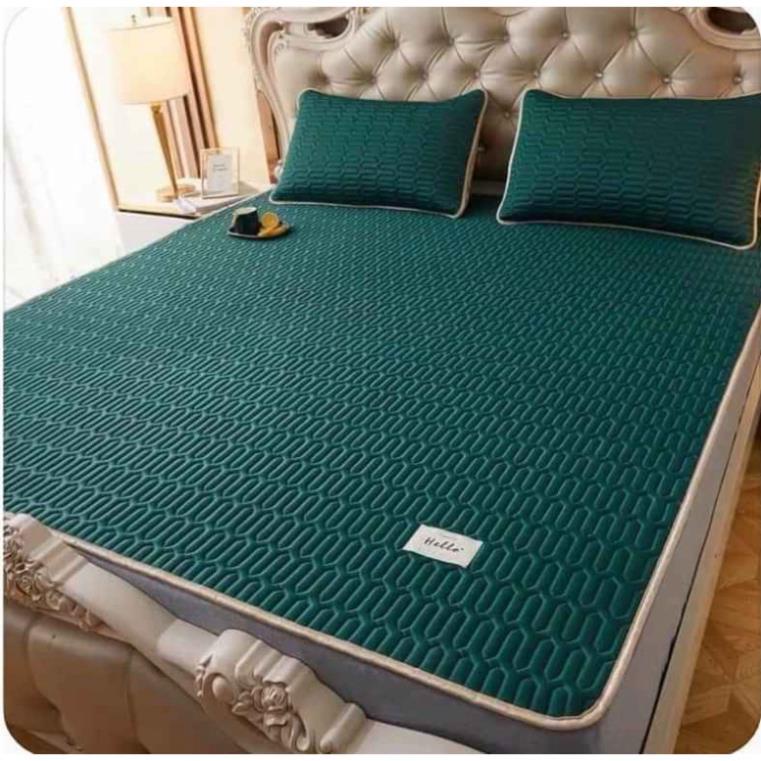 Chiếu cao su non, chiếu điều hòa cao su non tencel latex thái lan êm, đẹp, hàng nhập