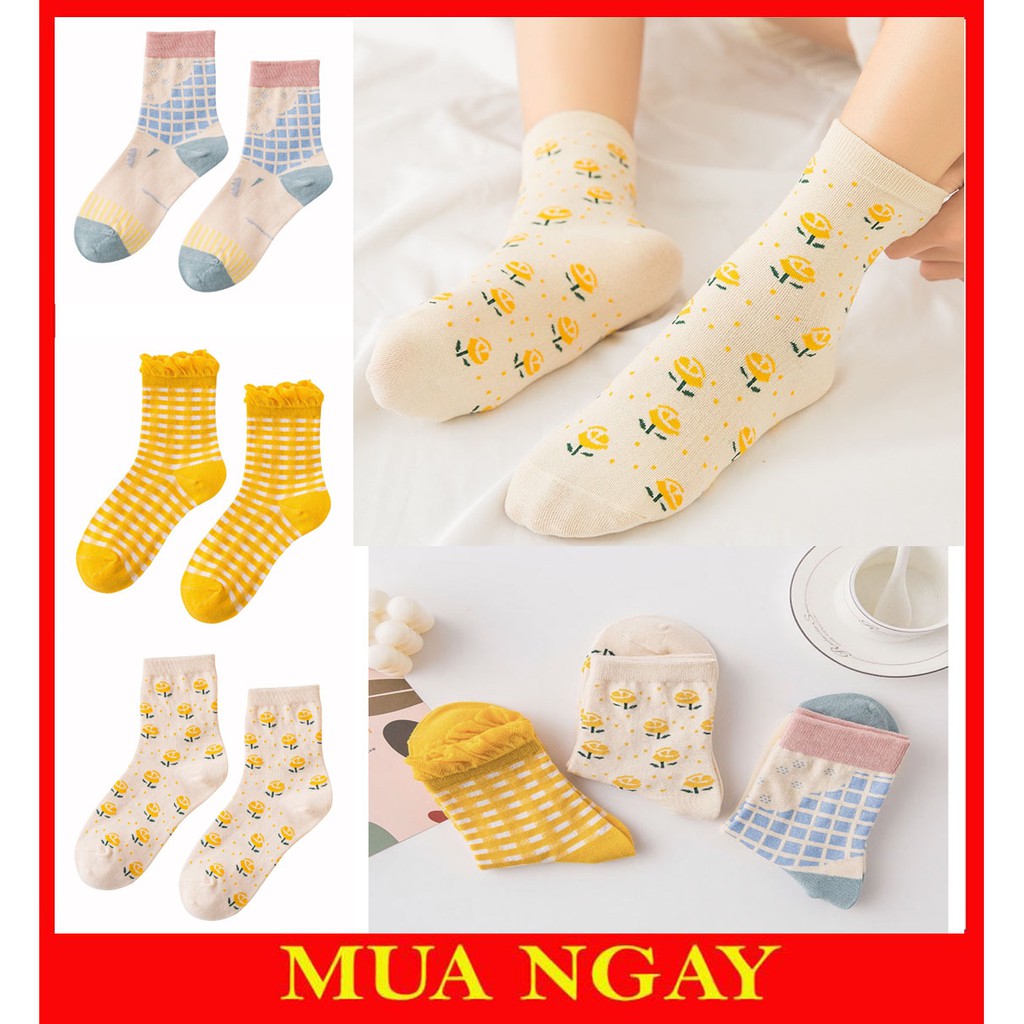 Set 3 đôi tất nữ caro vàng cổ bèo cực đẹp TN112