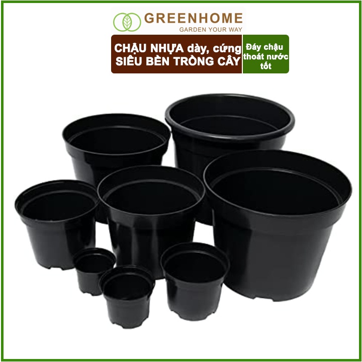 Bộ 3 Chậu nhựa trồng cây, 14x15cm, nhựa cứng, thoát nước tốt, đa dạng kích thước trồng cây, hoa, kiểng lá |Greenhome