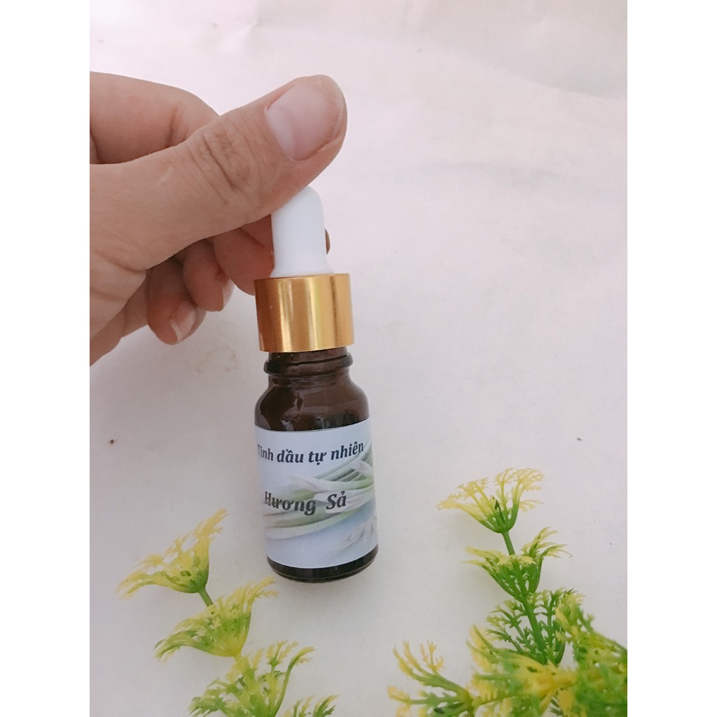 Tinh dầu xông phòng hương Sả Java nguyên chất lọ 10ml