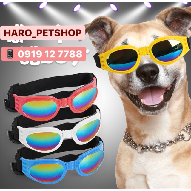 [Mã PET50K giảm Giảm 10% - Tối đa 50K đơn từ 250K] MẮT KÍNH THỜI TRANG CHO CHÓ MÈO - KÍNH MẮT CHO THÚ CƯNG