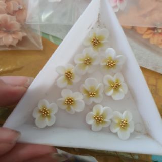Hoa bột gắn móng tay