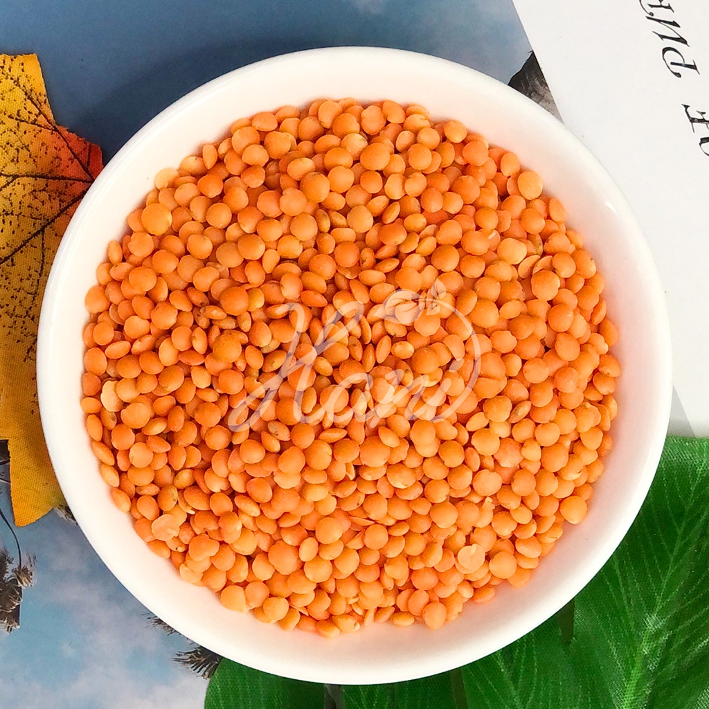 1KG Đậu Lăng Đỏ Hữu Cơ Nhập Khẩu Canada/Mỹ Không Biến Đổi Gen, Tốt Cho Trẻ Nhỏ và Phụ Nữ Mang Thai   Hani Healthy Food