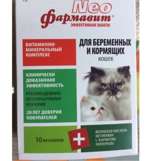 Thuốc vitamin cho mèo bầu nhập nga