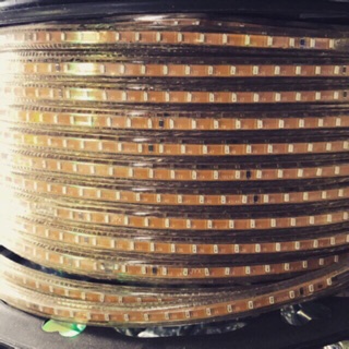 Cuộn led 100m trang trí mã 3014
