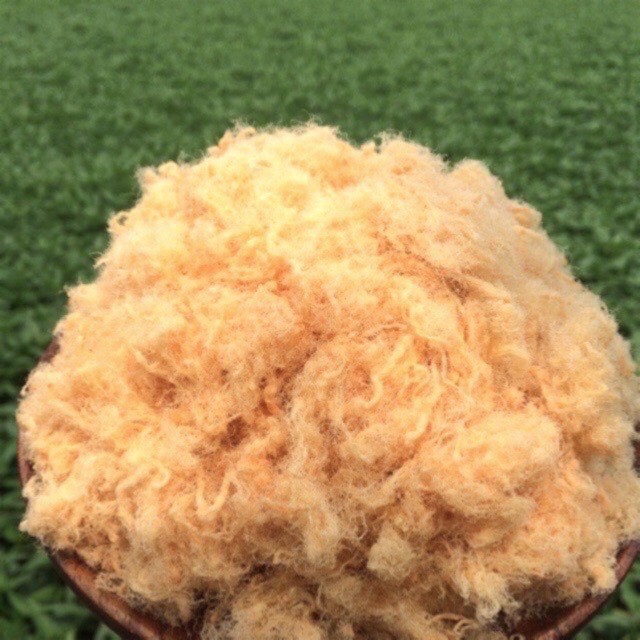 Chà Bông Heo Xù Gói 500G/1kg - Ruốc Bông