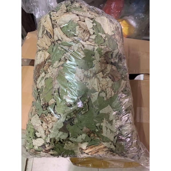 1kg Lá sen khô thơm mới nhất năm 2022