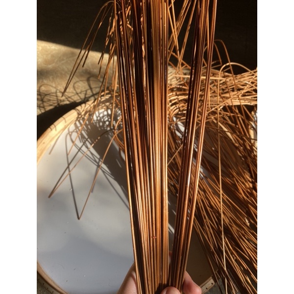 20 Nan Lồng Khuyên, Mào, Choè, Hàng Cật Già Bóng VIP.. Ảnh Thật