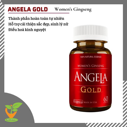 Sâm ANGELA Gold  [Angella, agela] Ecogreen