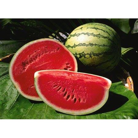 Hạt giống Dưa Hấu Siêu Ngọt F1 quả tròn