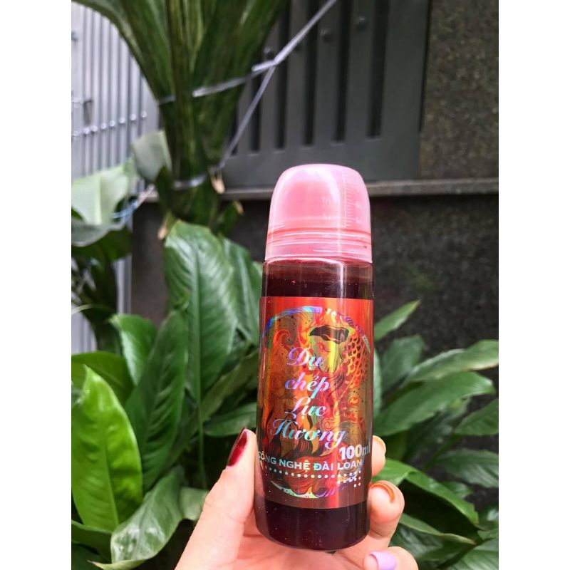 Bộ 4 tinh mùi  câu cá chép siêu nhạy sa phạm