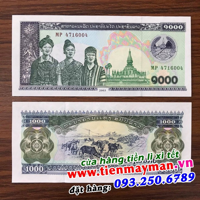Combo 30 tờ Tiền Con Trâu Lào có thước 15 x 7cm, màu xanh, tím
