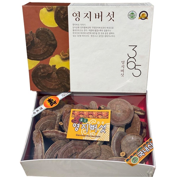 Nấm linh chi núi có bào tử 365 Hàn Quốc Cao Cấp Thượng Hạn Hộp 1 kg