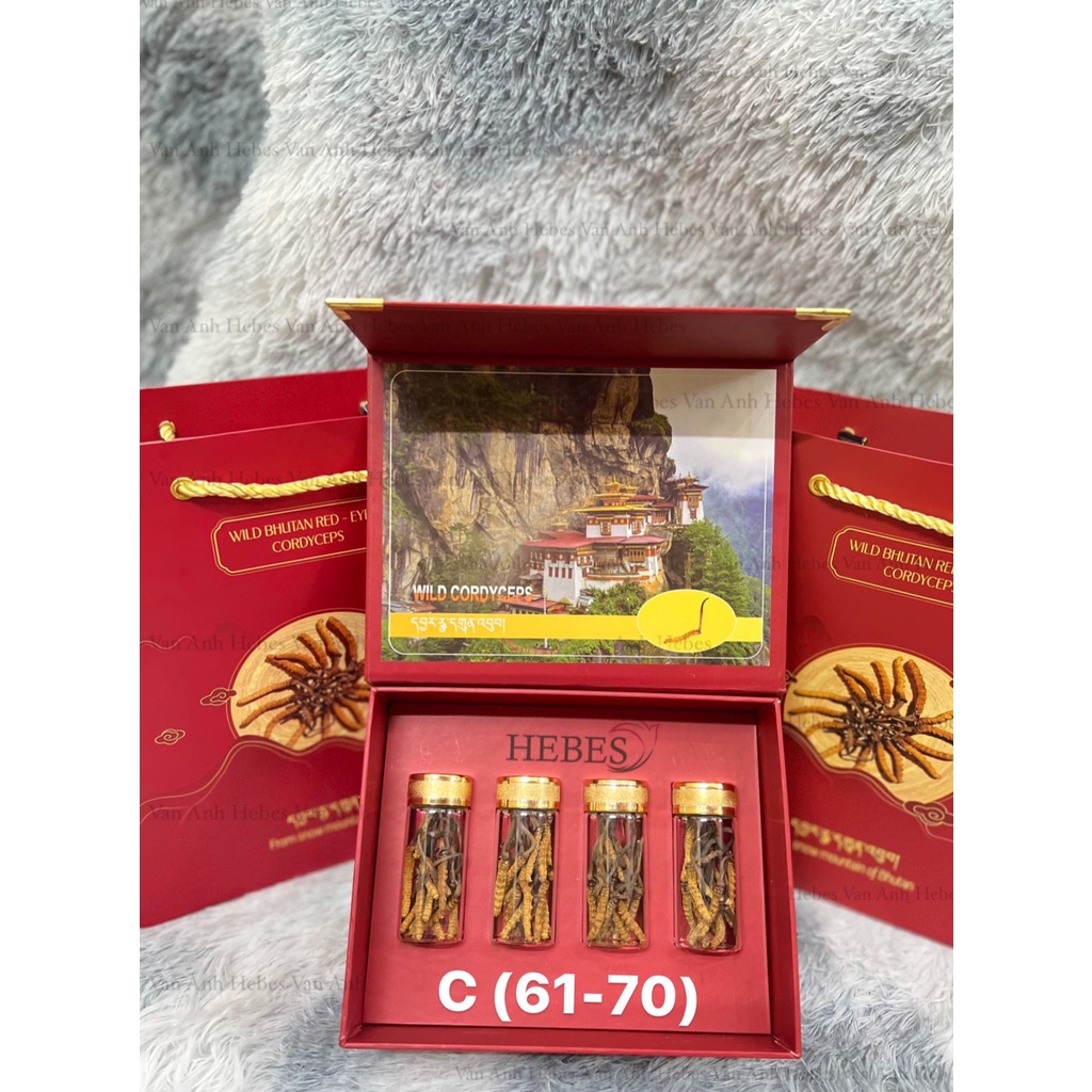 ĐÔNG TRÙNG HẠ THẢO MẮT ĐỎ THIÊN NHIÊN NÚI TUYẾT BHUTAN 10GRAM SIZE 61-70 CON