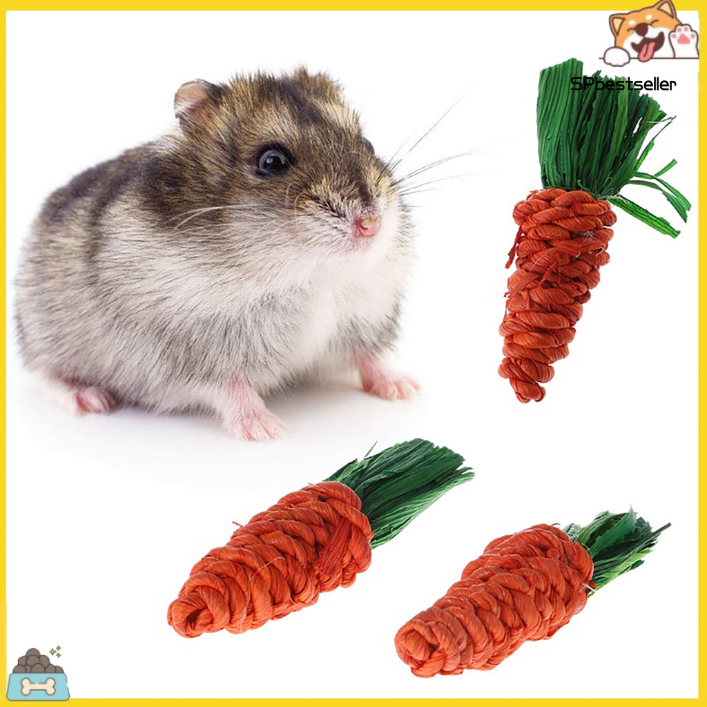 3 Cà Rốt Đồ Chơi Cho Thú Cưng