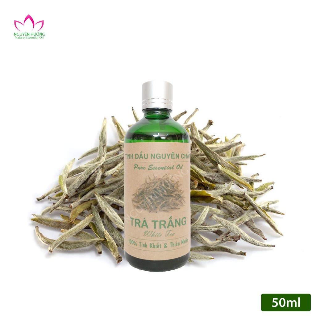 Tinh dầu Trà Trắng Nguyên Chất|Tinh dầu trà trắng cao cấp Nhập Khẩu Ấn Độ|Thương Hiệu Nguyên Hương