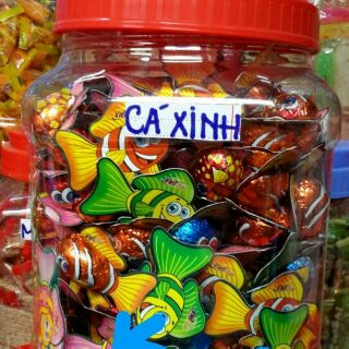 Sôcôla cá xinh
