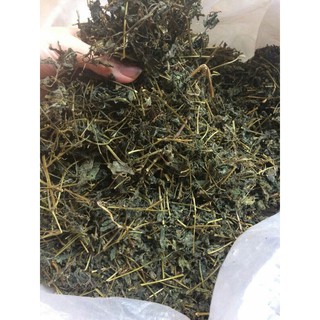 Sỉ giá gốc trà giảo cổ lam khô 1kg