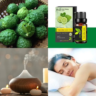[CHÍNH HÃNG] Tinh Dầu Trái Chúc TITO ( Chai 10ml )