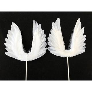 Đôi cánh thiên thần to