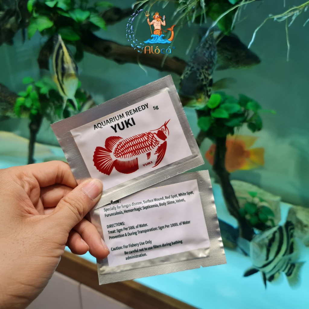 Bột Aquarium Remedy Yuki diệt nấm đen, xù vảy, nấm mang, tổn thương da, mun cho cá rồng, cá sam gói 5g