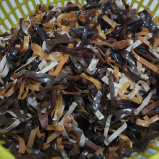 bịch 20gr dây chun đen to buộc tóc