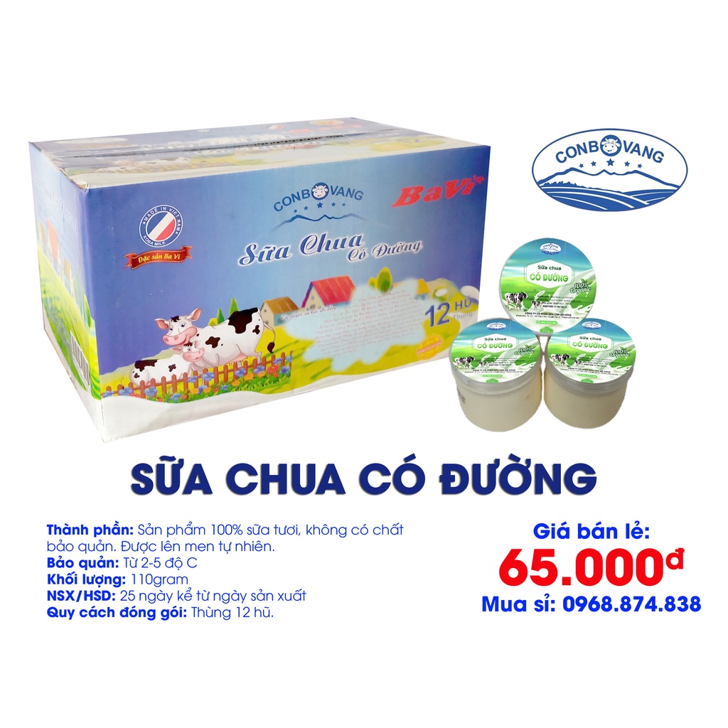 SỮA CHUA BÒ - CÓ ĐƯỜNG