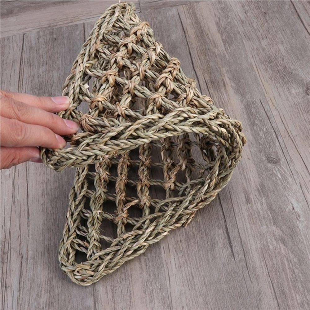 Võng Dệt Tự Nhiên Cho Thằn Lằn Bò Sát