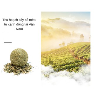 Cỏ mèo vị bạc hà (Catnip dạng bóng tròn đặc biệt cho mèo cưng)