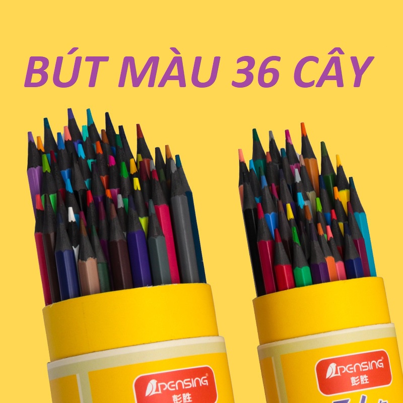 BÚT CHÌ MÀU HÃNG PENSING 36 CÂY