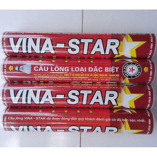 Ống cầu lông Vinastar đỏ