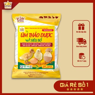 Úm thảo dược - Tăng tỷ lệ sống sau úm cho gà, vịt, ngan