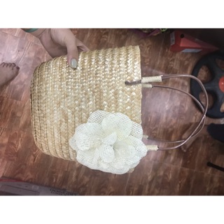 Túo cói đi biển